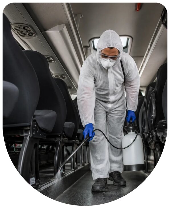 Дезинсекция транспорта с гарантией качества в Боровичах