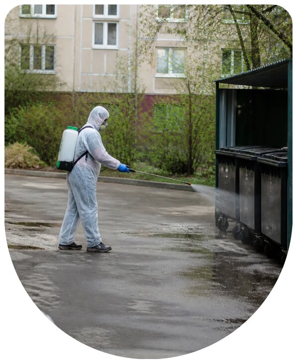 Профессиональная дезинфекция контейнерных площадок в Боровичах